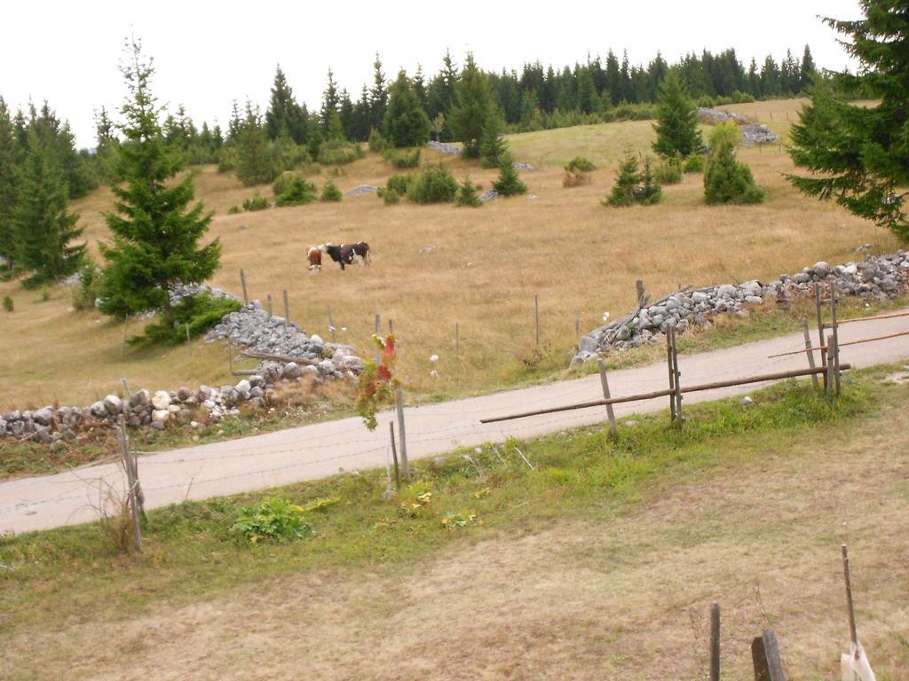 Zabljak Izdavanje Kuce Exteriér fotografie